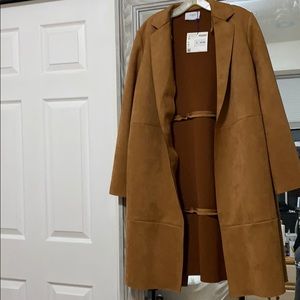 Zara Basic Fall Coat
